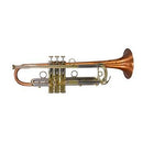 BAC BAC-TR-PAS Trumpets Spokane sale Hoffman Music BAC-TR-PAS