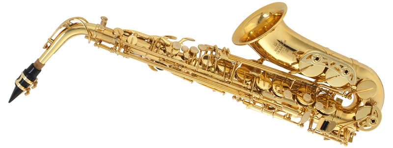 Buffet Crampon BC8101-1-0ABS Alto Saxophone Spokane sale Hoffman Music 920597328461