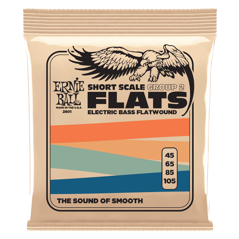 Ernie Ball P02801 Electric Spokane sale Hoffman Music 749699117032