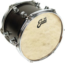 Evans TT12C7 Drumhead Spokane sale Hoffman Music 019954205447