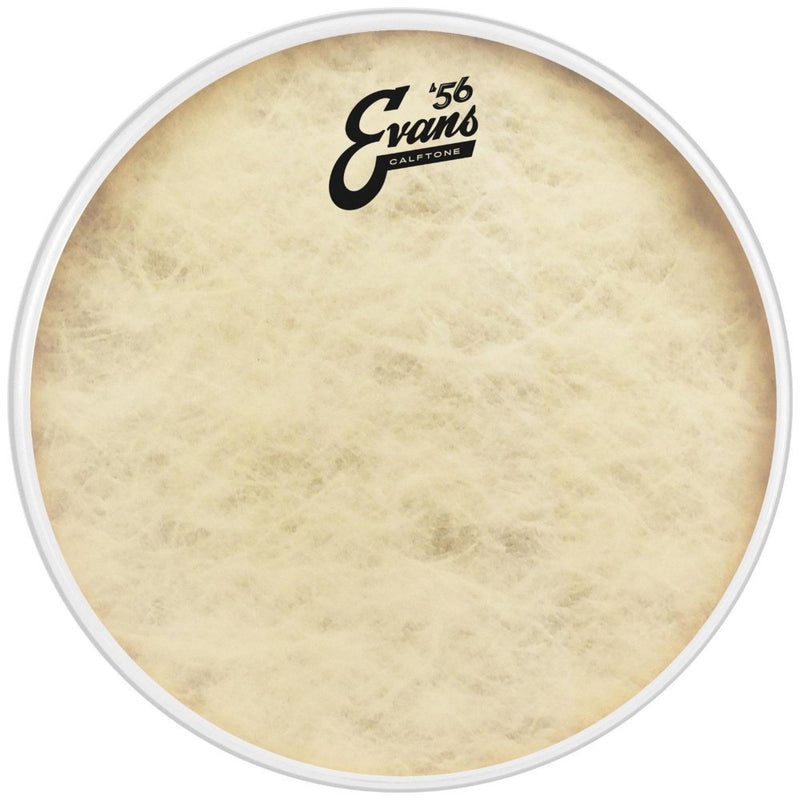 Evans TT13C7 Drumhead Spokane sale Hoffman Music 019954205454