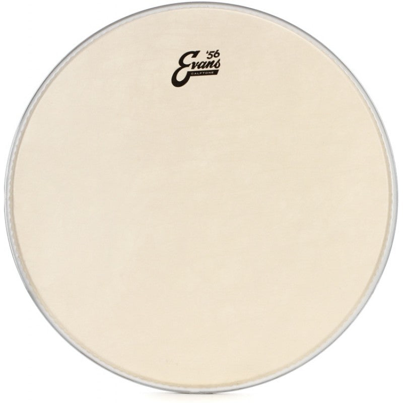 Evans TT15C7 Drum Head Spokane sale Hoffman Music 019954205515