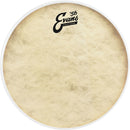 Evans TT16C7 Drumhead Spokane sale Hoffman Music 019954205546