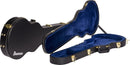 Ibanez AR100C Electric Guitar Case Spokane sale Hoffman Music 09588116