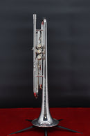 Cannonball 725-S Stone Series Trumpet - Silver Lacquer Finish