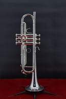 Cannonball 725-S Stone Series Trumpet - Silver Lacquer Finish