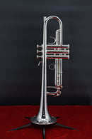 Cannonball 725-S Stone Series Trumpet - Silver Lacquer Finish