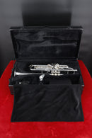 Cannonball 725-S Stone Series Trumpet - Silver Lacquer Finish