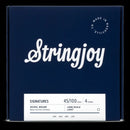 Stringjoy SJ-BA45100LS Electric Guitar Strings Spokane sale Hoffman Music 5060979931571
