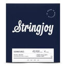 Stringjoy SJ-BA45100SS Electric Guitar Strings Spokane sale Hoffman Music 5060979931489