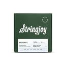 Stringjoy SJ-BR0946 Electric Guitar Strings Spokane sale Hoffman Music 696305334331