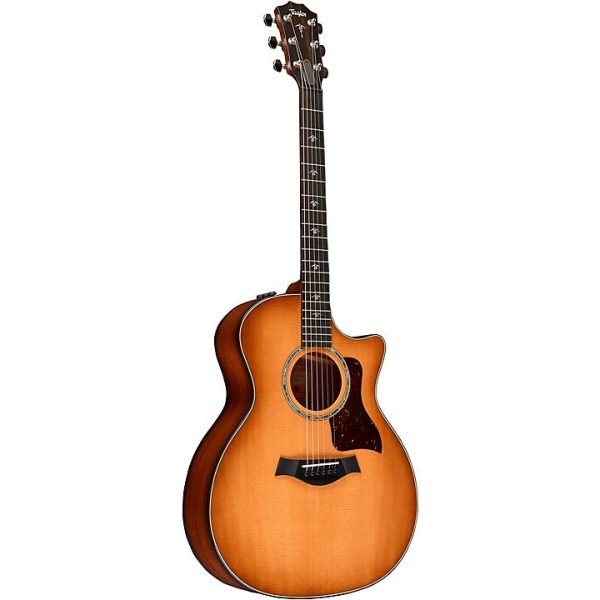 Taylor 514ce Iron Bark Acoustic Guitar Spokane sale Hoffman Music 00887766116431