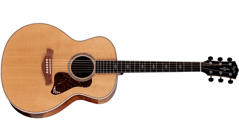 Taylor 814e Gold label Acoustic Guitar Spokane sale Hoffman Music 887766135760