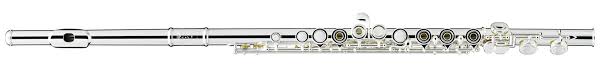 Verne Q Powell Sonare PS101 Flutes Spokane sale Hoffman Music ps101