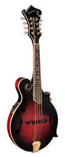 Washburn M3SWETWRK-D-U Mandolins Spokane sale Hoffman Music 801128353630