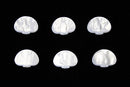 Allparts TK 7724-055 Guitar Button Set Spokane sale Hoffman Music 645208033056