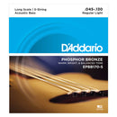 D'Addario EPBB170-5 Acoustic Bass Guitar String Set Spokane sale Hoffman Music 019954961152