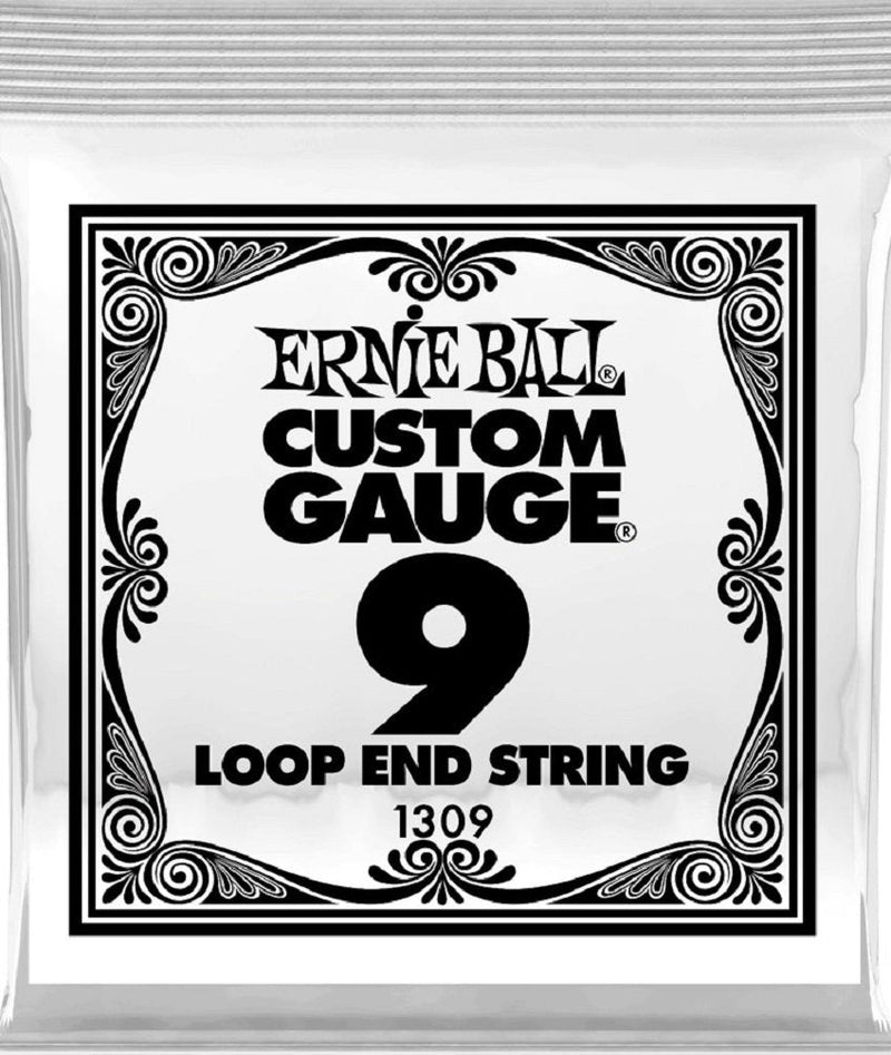 Ernie Ball 1309 Banjo String Spokane sale Hoffman Music 749699113096