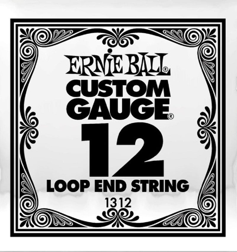 Ernie Ball 1312 Banjo String Spokane sale Hoffman Music 749699113126