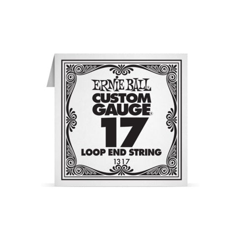 Ernie Ball 1317 Banjo String Spokane sale Hoffman Music 749699113171