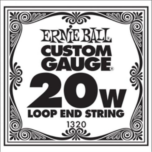 Ernie Ball 1320 Banjo String Spokane sale Hoffman Music 749699113201