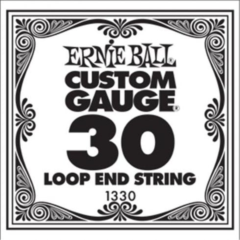 Ernie Ball 1330 Banjo String Spokane sale Hoffman Music 749699113300