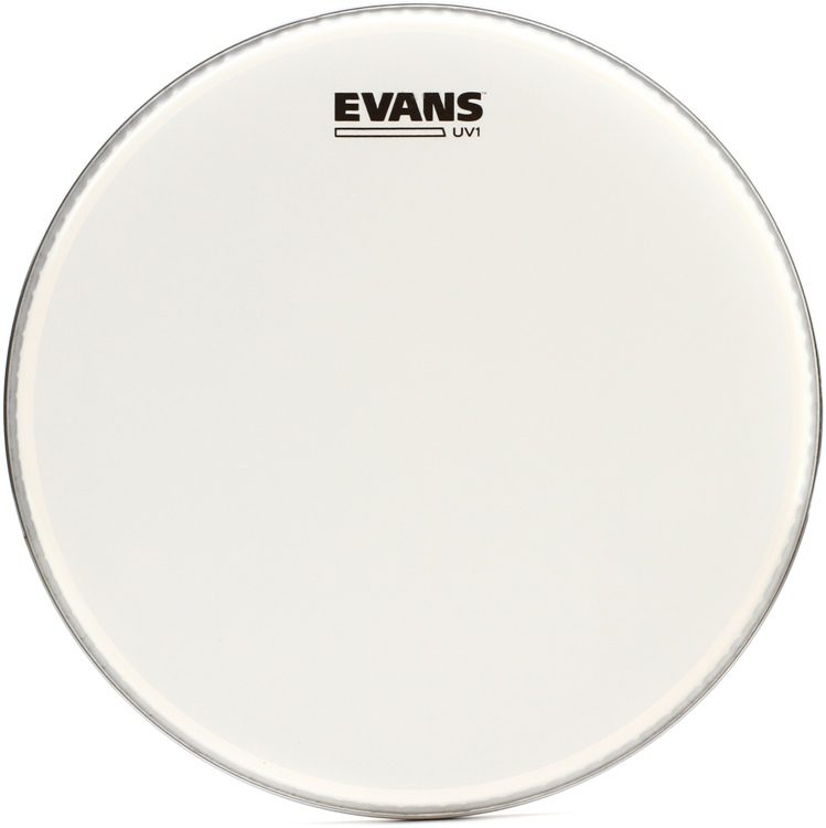 Evans B13UV1 Drumhead Spokane sale Hoffman Music 019954209513