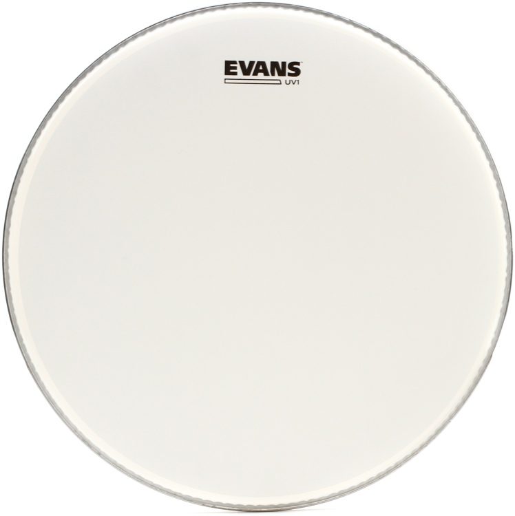 Evans B16UV1 Drumhead Spokane sale Hoffman Music 019954209537