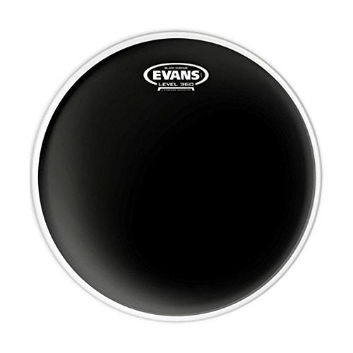 Evans TT12CHR Drumhead Spokane sale Hoffman Music 019954977801