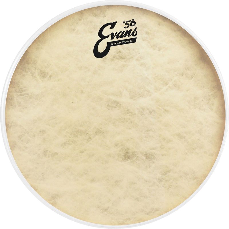 Evans TT16C7 Drumhead Spokane sale Hoffman Music 019954205546