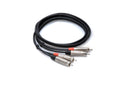 Hosa HRR-010X2 Pro-Audio Cable Spokane sale Hoffman Music 728736051096