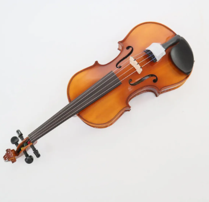 Lewis & Stentor WL16E2CH 1/2 Size Violin Spokane sale Hoffman Music 02010166
