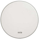 Ludwig LW3313 Drumhead Spokane sale Hoffman Music 641064126697