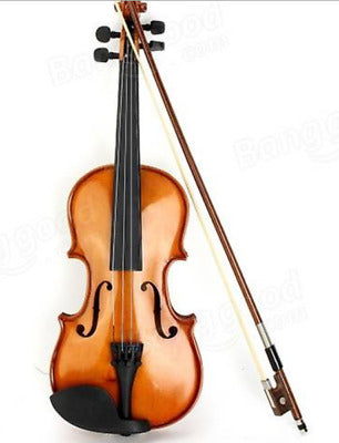 Schroetter 420-1/2 1/2 Size Violin Spokane sale Hoffman Music 02000060