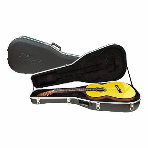 Takamine GC1518 Acoustic Guitar Case Spokane sale Hoffman Music 09552148