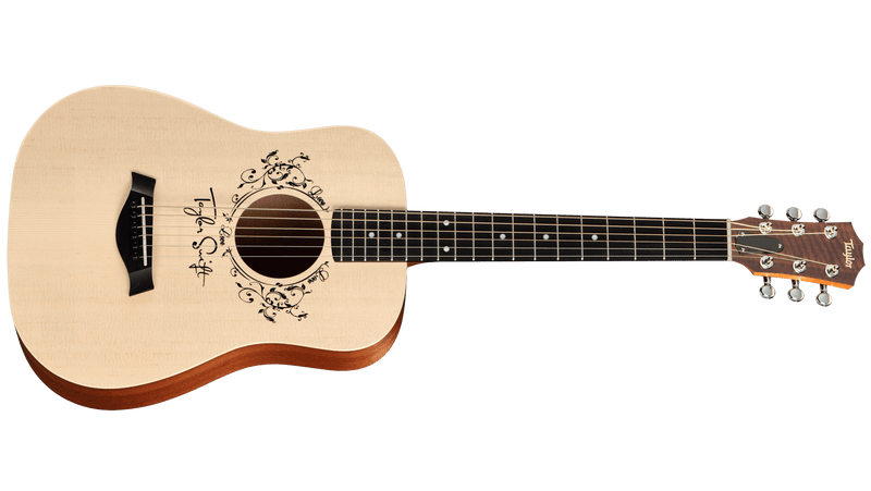 Taylor TS-BT Acoustic Guitar Spokane sale Hoffman Music 00841060010987