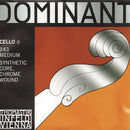 Thomastik GL143 4/4 Cello D String Spokane sale Hoffman Music 9003918100412