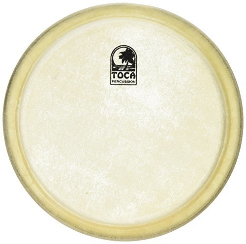 Toca TP-40008 Drum Head Spokane sale Hoffman Music 090024002018
